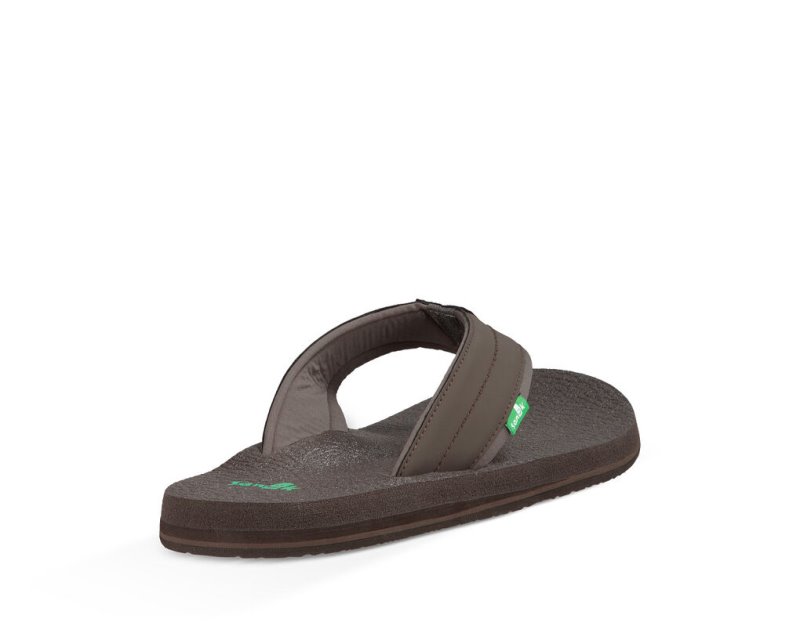 Chanclas Sanuk Beer Cozy 2 Hombre Marrom Oscuro | MX-997979