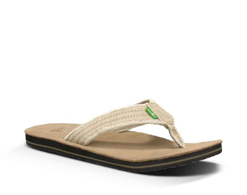 Chanclas Sanuk Fraid Not Hombre Kaki | MX-648600