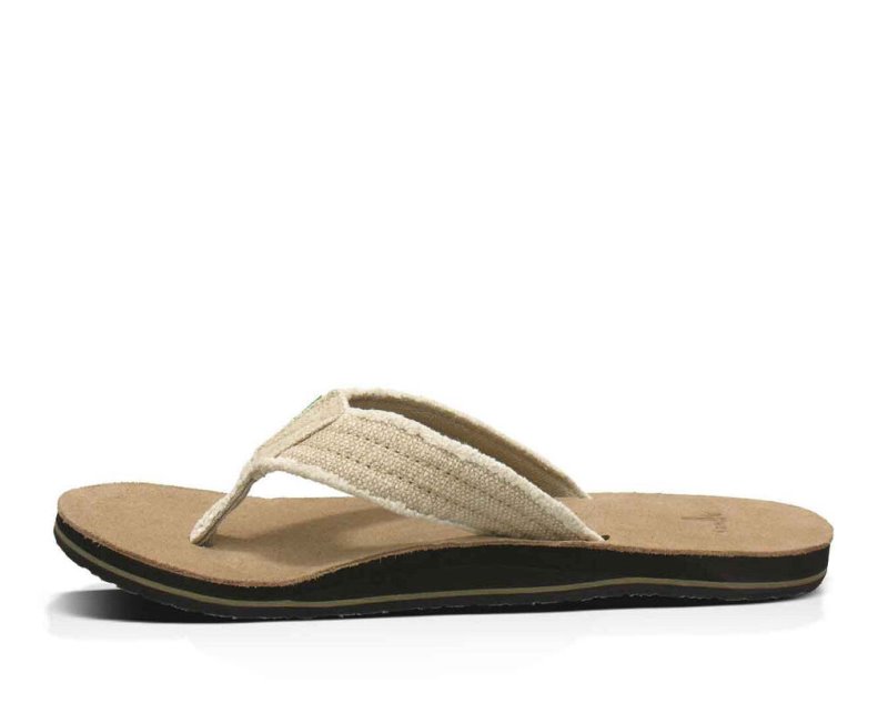 Chanclas Sanuk Fraid Not Hombre Kaki | MX-648600